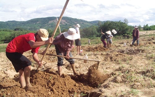 Cuốc đất hay quốc đất? Gallery 1