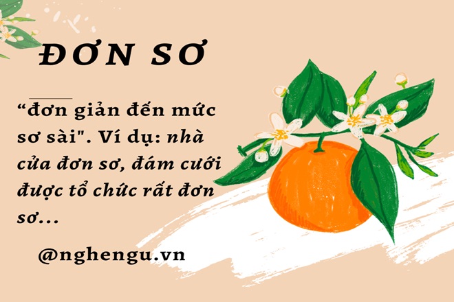 Đơn Sơ Hay Đơn Xơ? Gallery 1