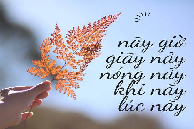 Hồi Nãy Là Gì? Gallery 2