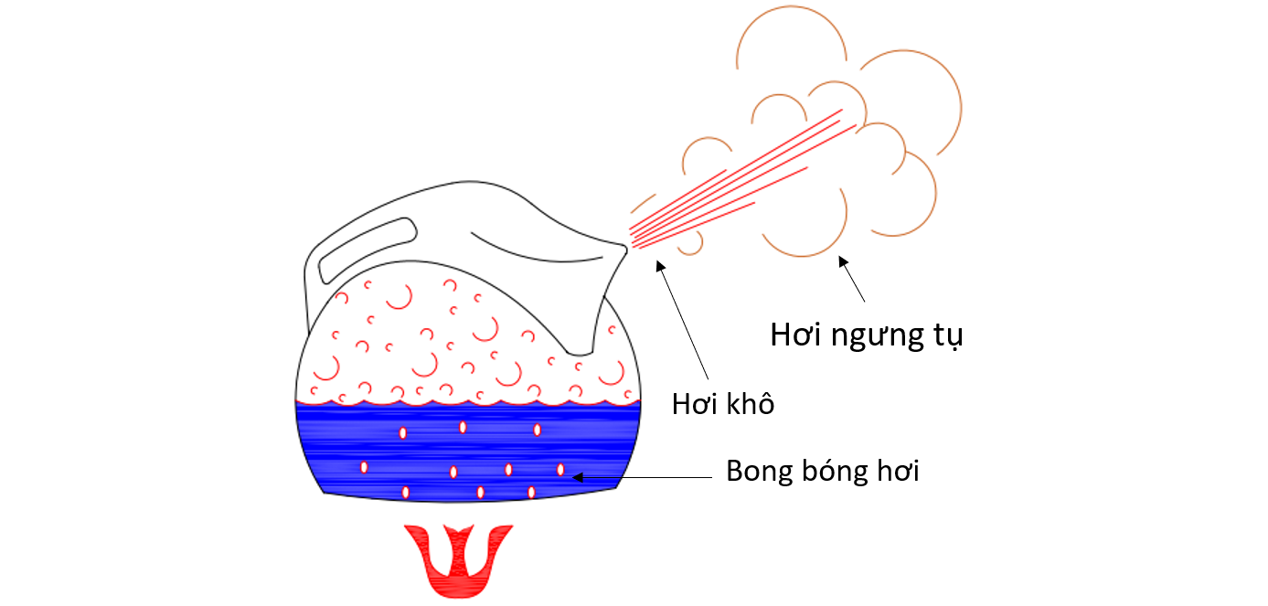 Hơi nước kí hiệu hóa học là gì? Gallery 2
