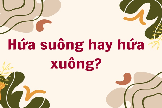 Hứa suông hay hứa xuông? Gallery 1