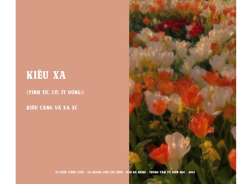Kiêu Sa Hay Kiêu Xa? Gallery 1