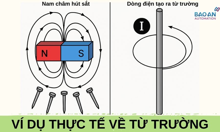 Từ Trường Ký Hiệu Là Gì? Gallery 1