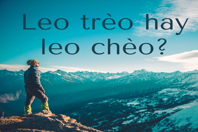Leo trèo hay leo chèo? Gallery 1