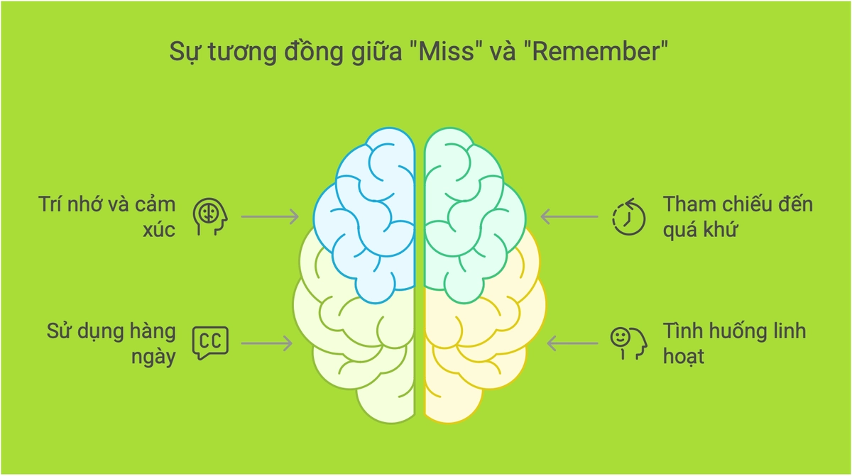 Nhở là gì? Gallery 1