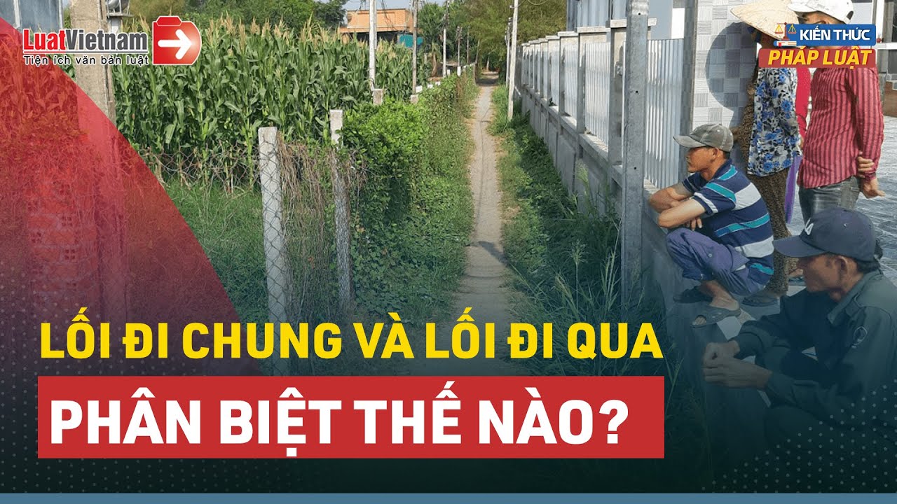 Nối đi hay lối đi? Sự khác biệt và cách sử dụng Gallery 1