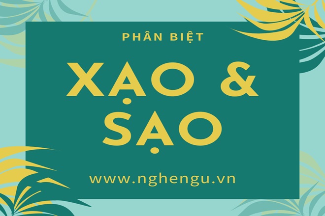 Nói Sạo Hay Xạo? Từ Ngữ Và Sự Khác Biệt Tinh Tế Gallery 1