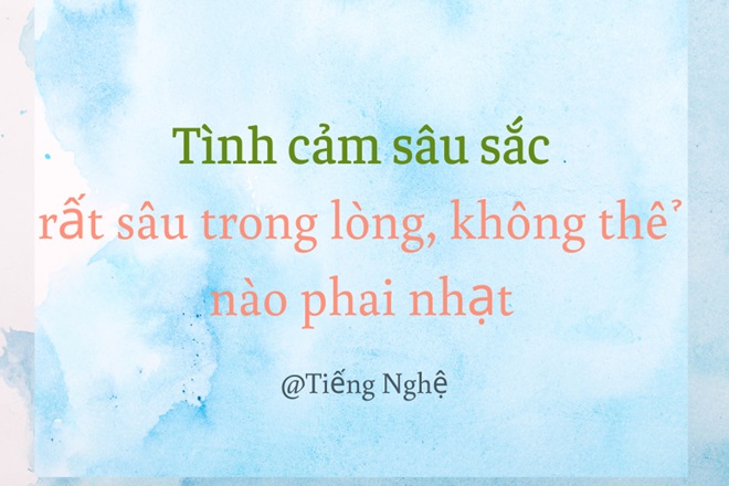 Sâu sắc hay xâu sắc? Gallery 1