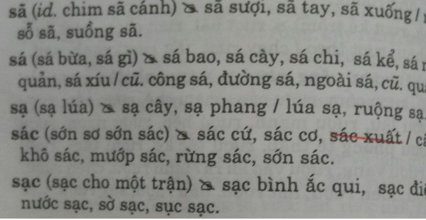Sồn Sồn Hay Xồn Xồn? Giải đáp thắc mắc về từ ngữ Gallery 2