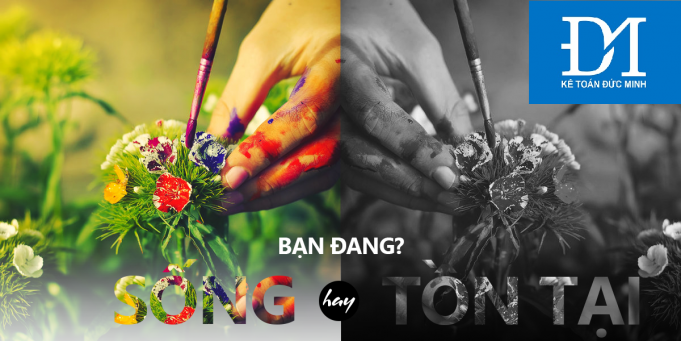 Chúng ta đang sống hay tồn tại? Gallery 1