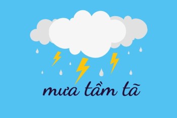 Mưa tầm tả hay tầm tã? Gallery 1