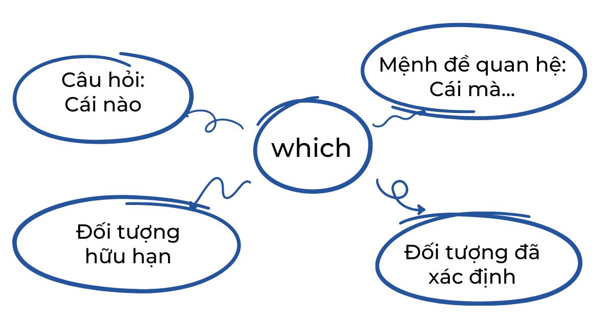 That và Which: Sự khác biệt và cách sử dụng Gallery 1