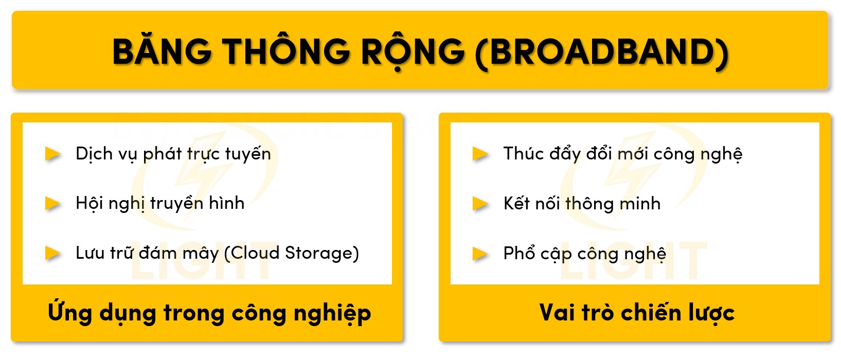 Thông Dong Hay Thông Rong? Gallery 1