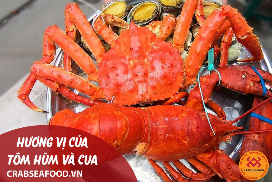 Tôm Hùm Cua Hoàng Đế: Sự Khác Biệt, Giá Trị Dinh Dưỡng Và Cách Chọn Mua Gallery 1