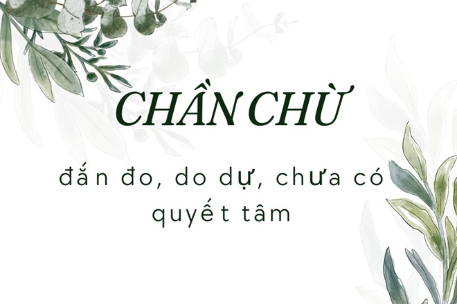 Trần chờ hay chần chờ? Gallery 1