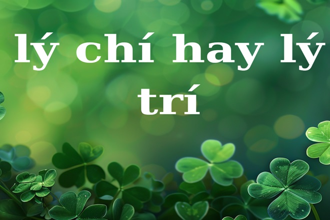 Trí lý hay chí lý? Gallery 1