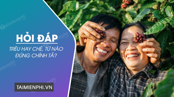 Trớ trêu hay chớ trêu? Gallery 1
