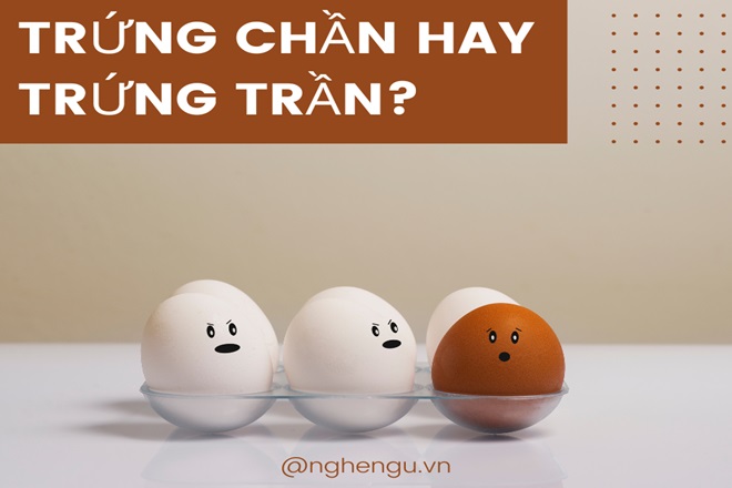 Trứng Chần Hay Trần? Gallery 1