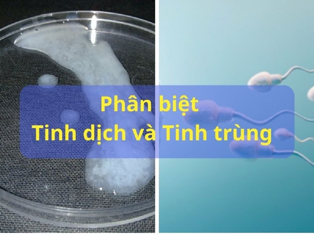 Trung Tình Hay Chung Tình? Gallery 1
