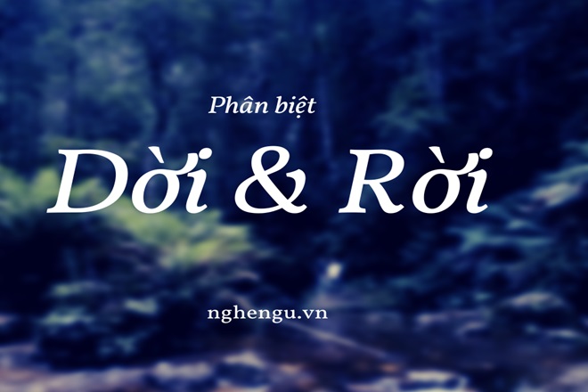 Xa rời hay xa dời? Gallery 1