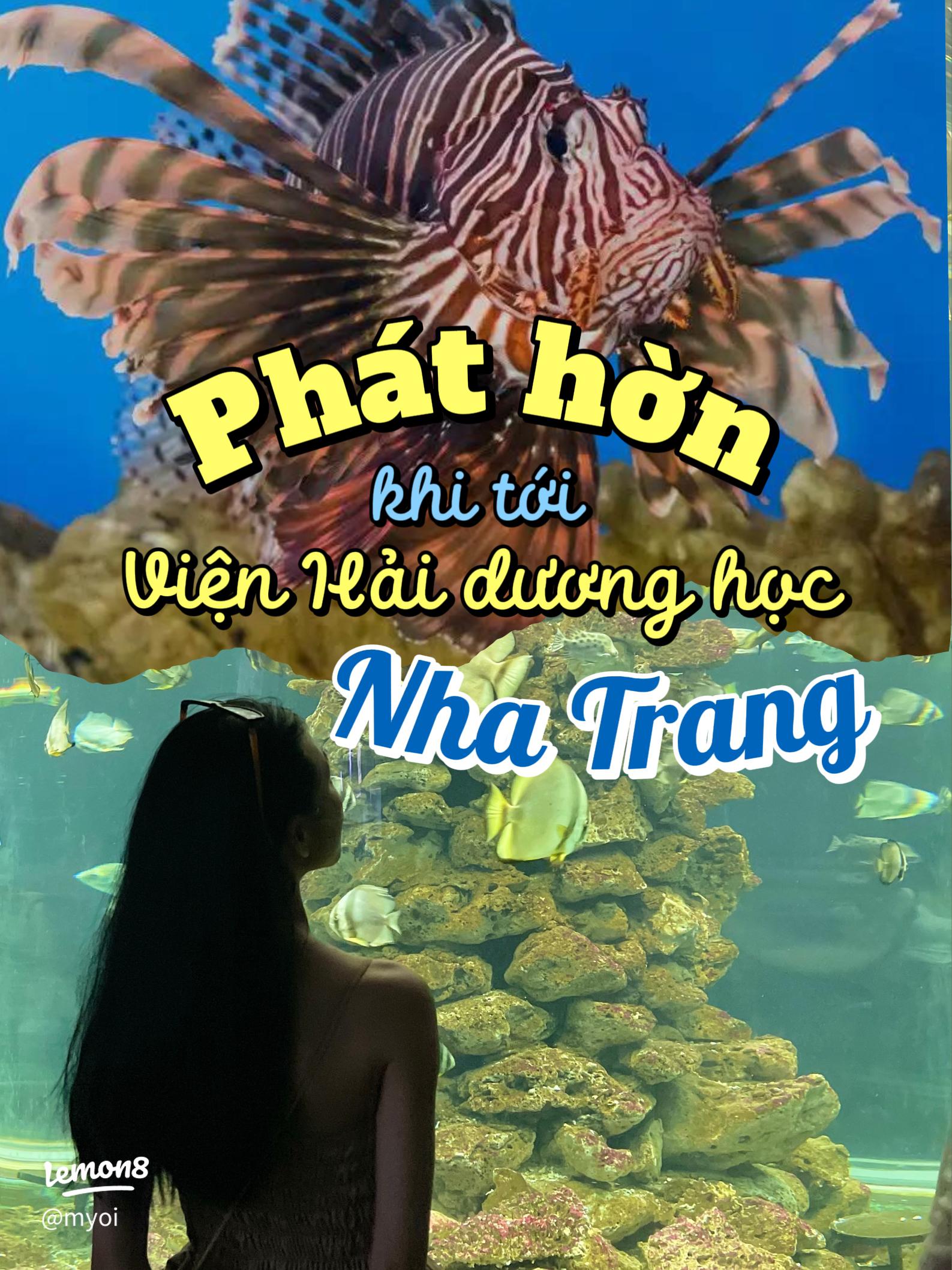 Xinh Cá Là Gì? Gallery 2