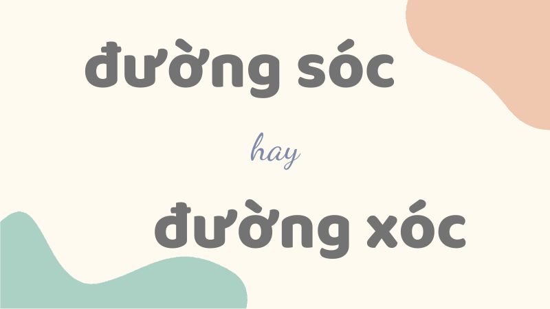 Đường Xóc Hay Sóc? Gallery 1