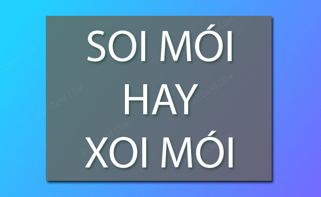 Xoi mói hay soi mói? Gallery 1