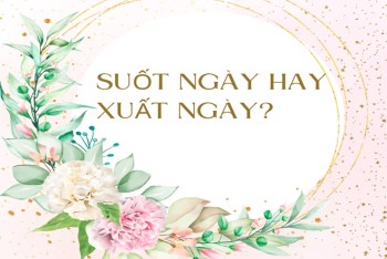 Xuất ngày hay suốt ngày? Gallery 1