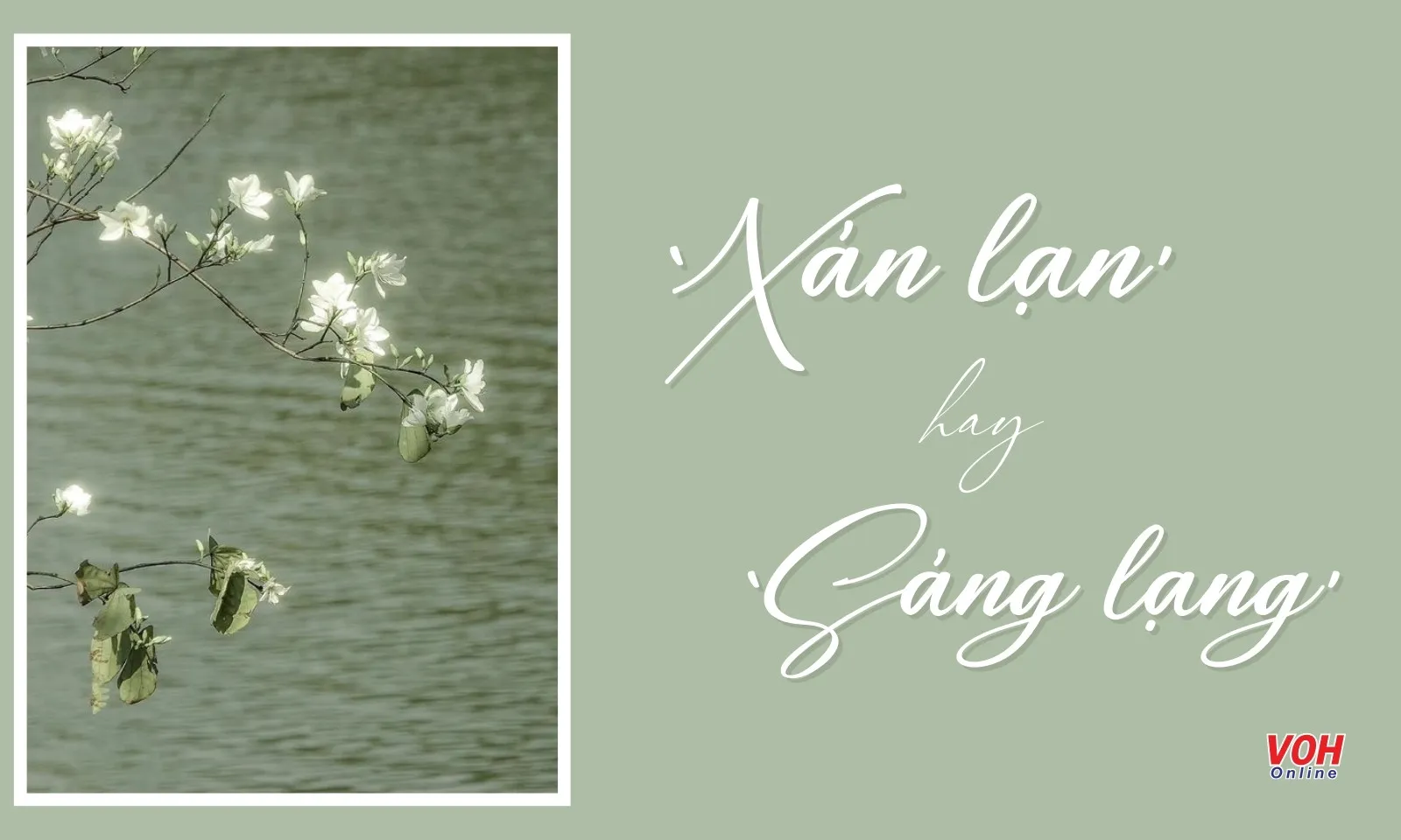 Tương Lai Sáng Lạn Hay Xán Lạn? Gallery 1