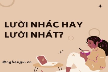 Xồn Xồn Hay Sồn Sồn? Gallery 1