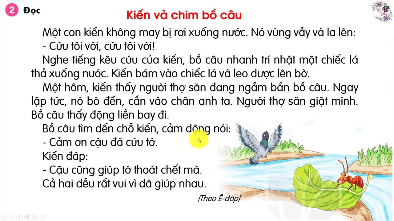 Kiến và Bồ Câu: Sự Khác Biệt Về Tập Tính và Môi Trường Sống Gallery 2