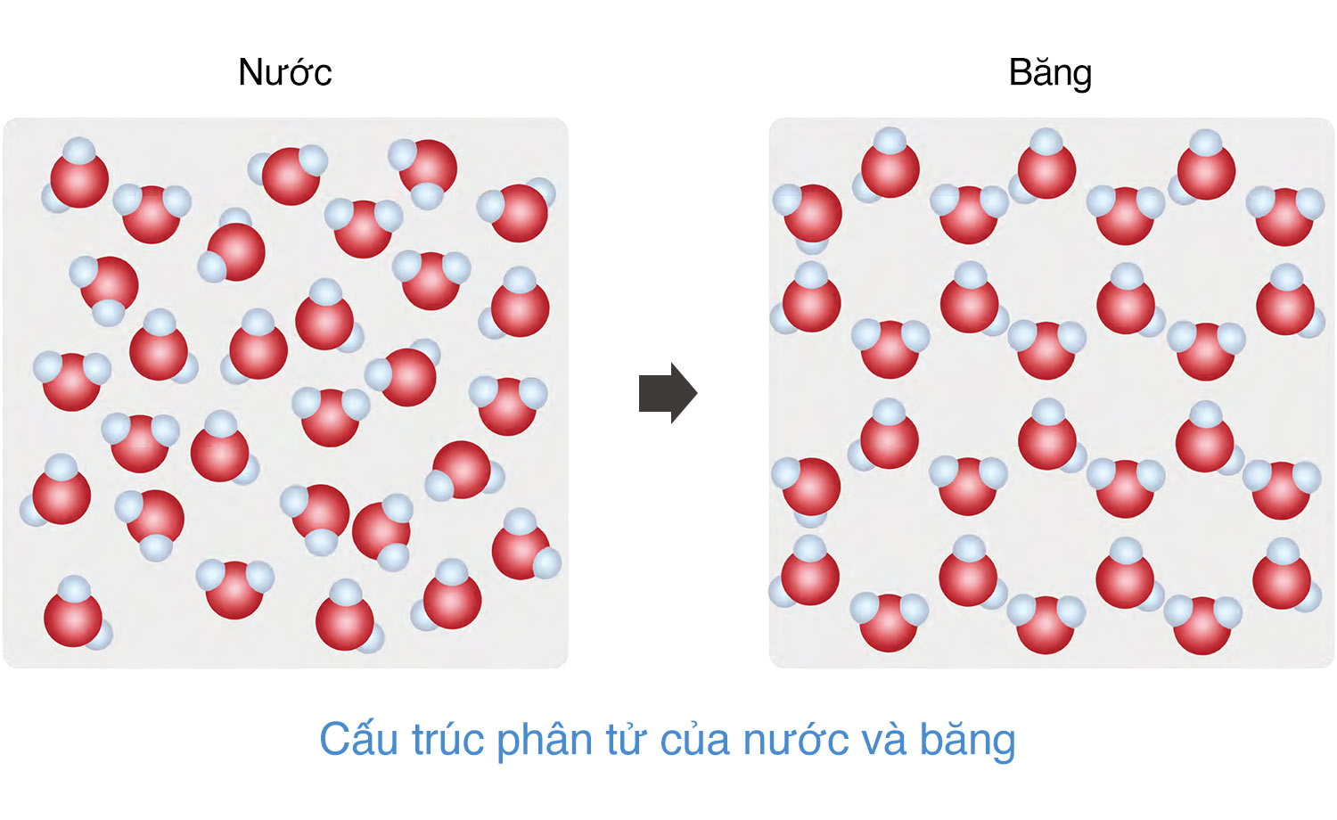 Không một bông tuyết nào trong sạch Gallery 2