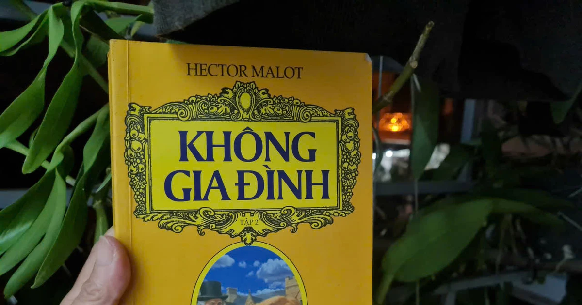 Thông Điệp Sâu Sắc Của Tác Phẩm Không Gia Đình Gallery 1