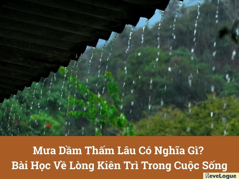 Mưa Dầm Thấm Lâu Trong Tình Yêu Là Gì? Gallery 1