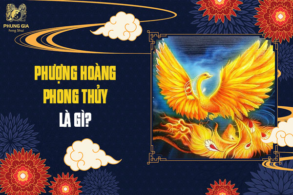 Những Câu Nói Hay Về Phượng Hoàng Lửa Gallery 2