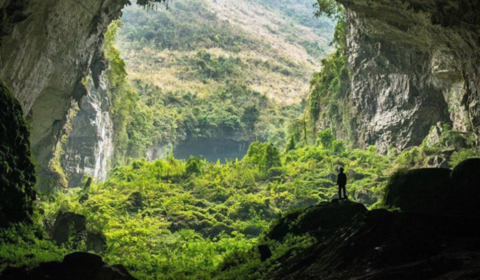 Trải Nghiệm Sâu Sắc Về Thế Giới Tự Nhiên Gallery 1