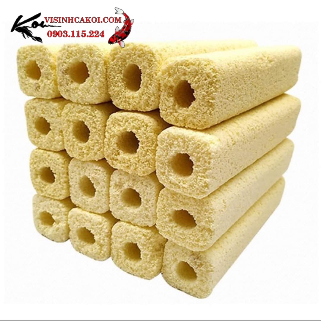 Sứ Lọc Bể Cá: Hướng Dẫn Chọn và Sử Dụng