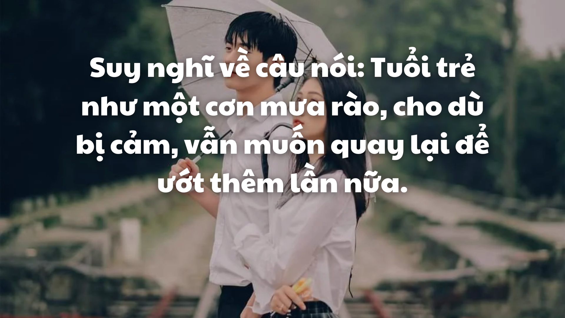 Thanh Xuân Như Một Cơn Mưa Rào Gallery 1