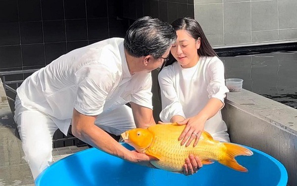 Hà Thanh Xuân Vua Cá Koi Gallery 1