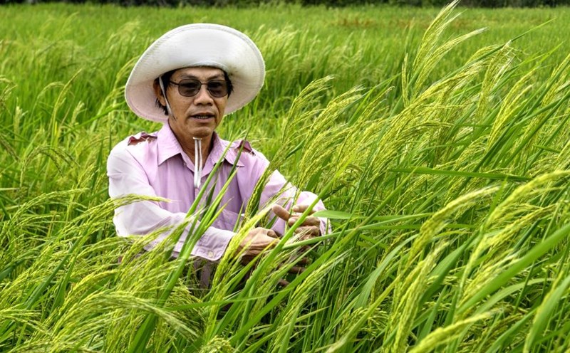 Tân Trần là ai? Gallery 2