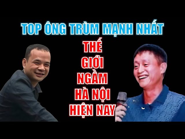 Tùng Én Đông Anh - Thông tin chi tiết Gallery 1