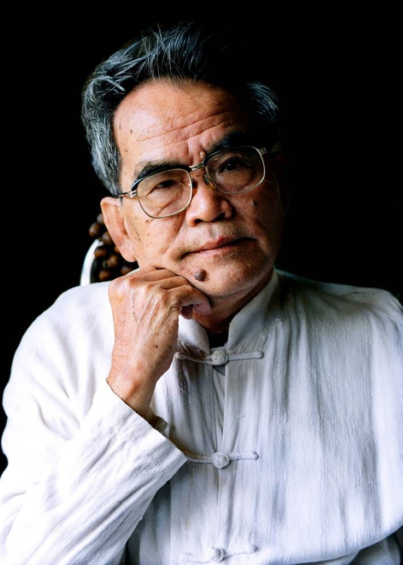 Tiểu sử Hoàng Phủ Ngọc Tường Gallery 2