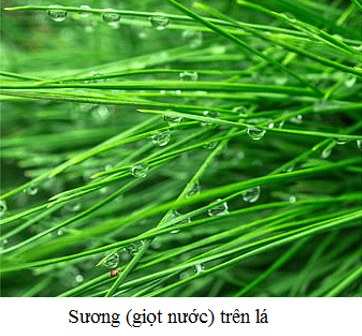 Ví dụ về Sự Ngưng Tụ: Hiện Tượng Thường Gặp Trong Cuộc Sống Gallery 1