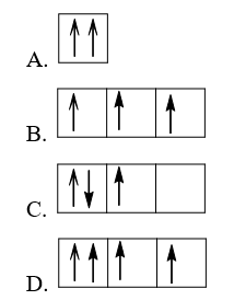 Sự Phân Bố Electron