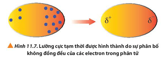 Sự phân bố electron không đồng đều trong nguyên tử và phân tử: Nguyên nhân và hậu quả