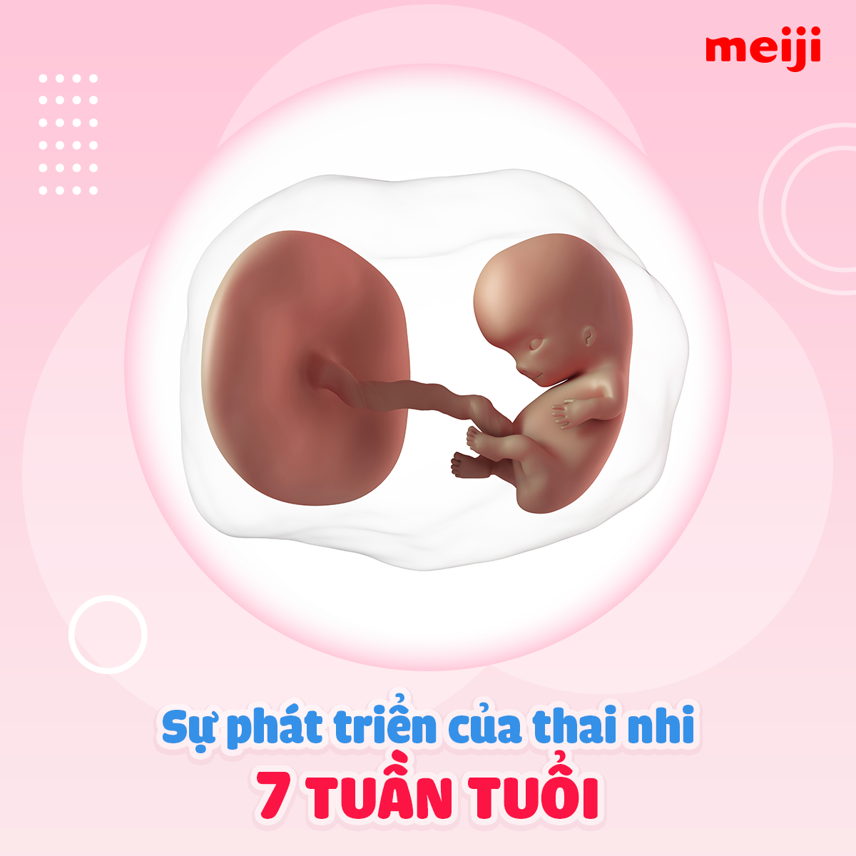 Thai 7 tuần mẹ có cảm nhận được tim thai không? Gallery 1