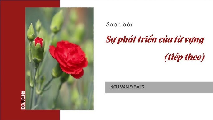 Sự Phát Triển Từ Vựng (Tiếp Theo Ngắn Nhất) Gallery 2