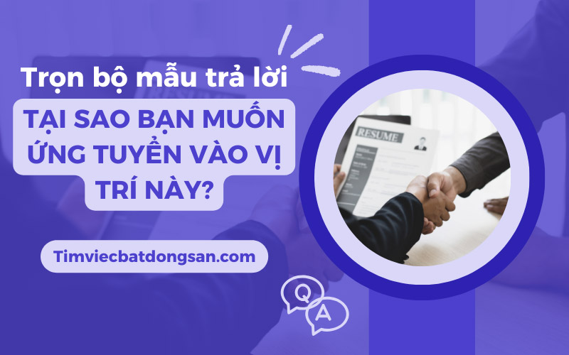 Tại Sao Tôi Ứng Tuyển Vị Trí Này? Gallery 1