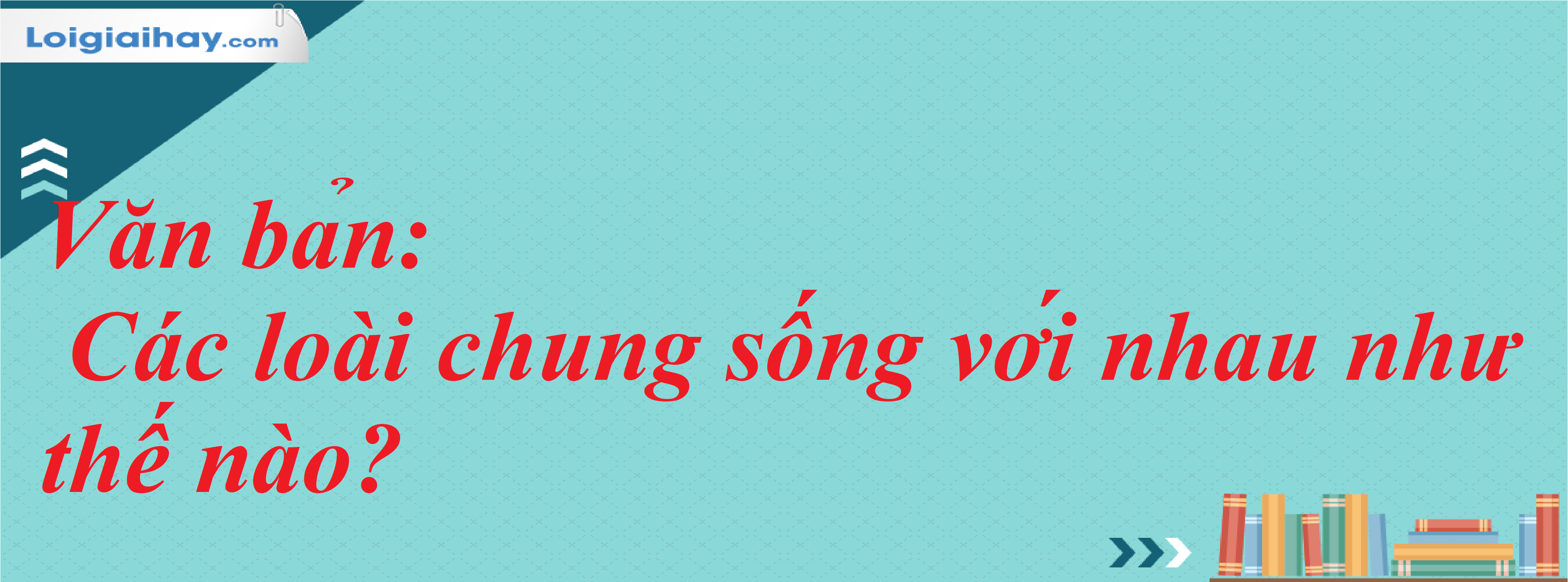 Các Loài Chung Sống Với Nhau Như Thế Nào Gallery 2