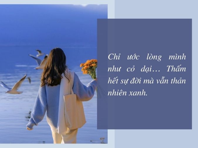 Sự Dịu Dàng Chỉ Dành Cho Em Ngôn Nhất Trì Gallery 1